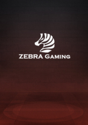 ZG電子遊戲