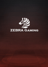 ZG電子遊戲