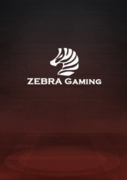 ZG電子遊戲